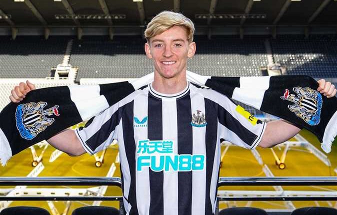 أنتوني جوردون