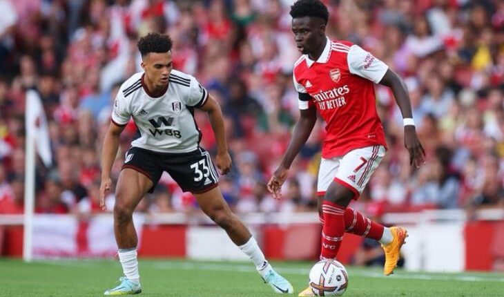 مباراة أرسنال وفولهام في الدوري الإنجليزي.jpg 3