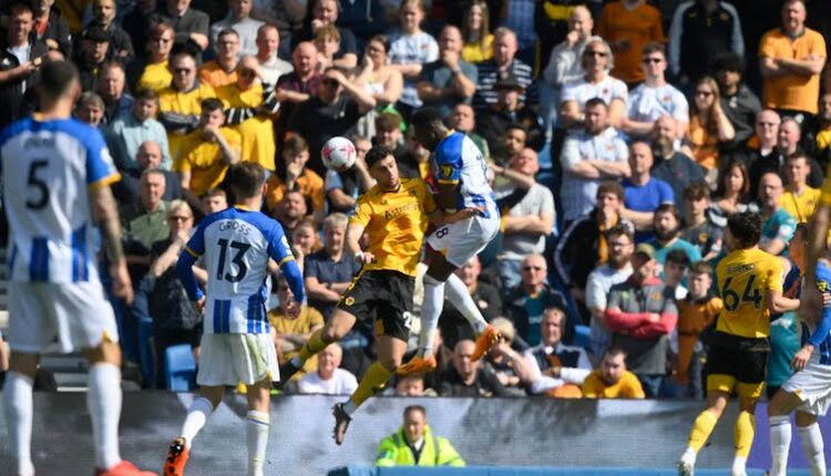 مباراة برايتون وولفرهامبتون في الدوري الإنجليزي