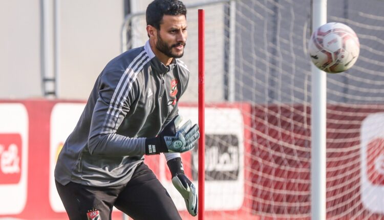 محمد الشناوي