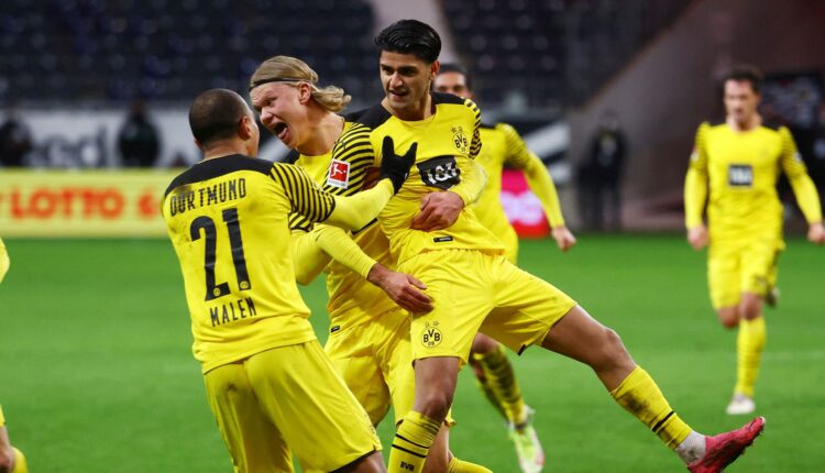 محمود داوود