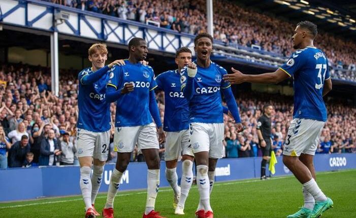 ديمراي جراي