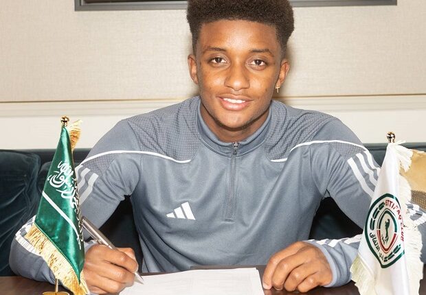 ديماراي جراي