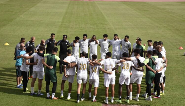 دوري المحترفين